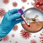 dengue482208337-1