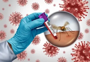 dengue482208337-1