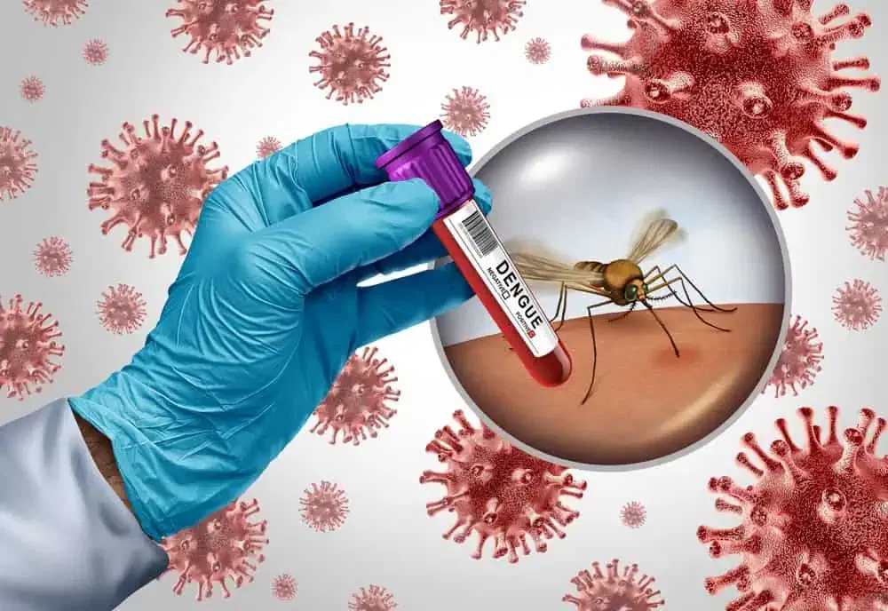 dengue482208337-1