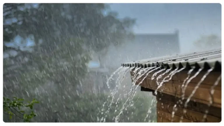 rains