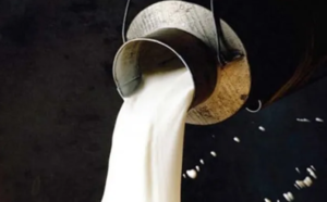 milk