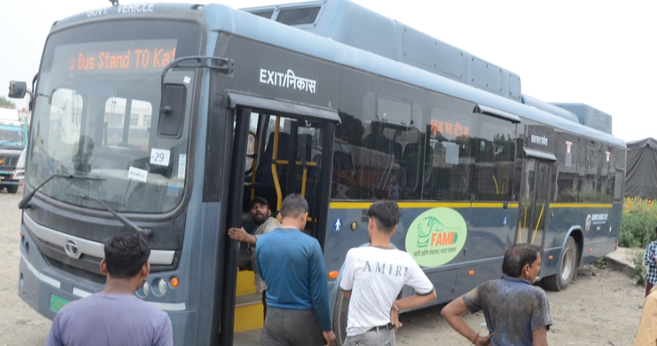 buses